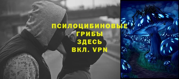 амф Аркадак