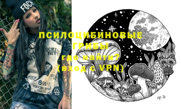 амф Аркадак